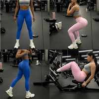Curvy Comfort Seamless Leggings™